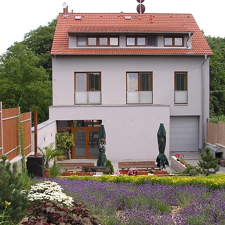 Penzion Ruland Hotel Brno Exterior photo